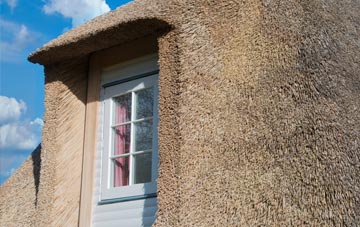 Stryd Y Facsen thatch roof disadvantages