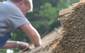 professional Stryd Y Facsen thatchers